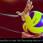 Hướng Dẫn Cá Cược Thể Thao bóng chuyền UW99