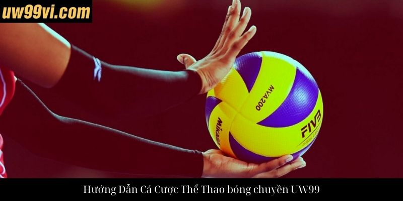 Hướng Dẫn Cá Cược Thể Thao bóng chuyền UW99