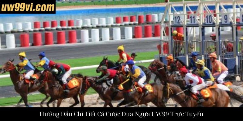 Hướng Dẫn Chi Tiết Cá Cược Đua Ngựa UW99 Trực Tuyến