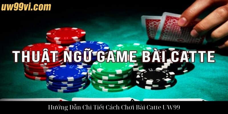 Hướng Dẫn Chi Tiết Cách Chơi Bài Catte UW99