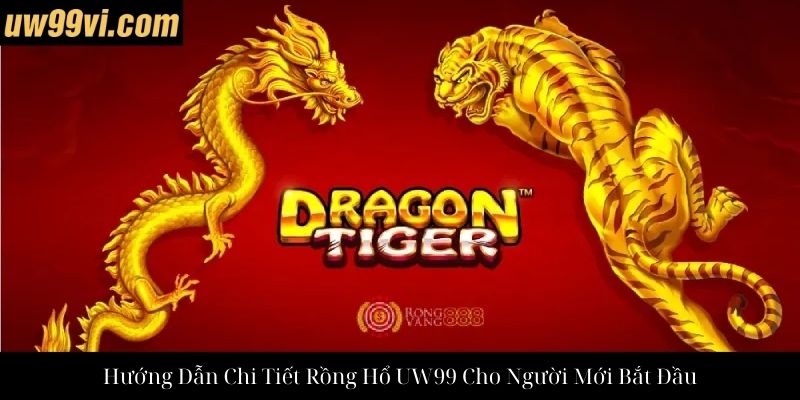 Hướng Dẫn Chi Tiết Rồng Hổ UW99 Cho Người Mới Bắt Đầu