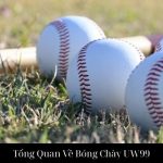 Tổng Quan Về Bóng Chày UW99