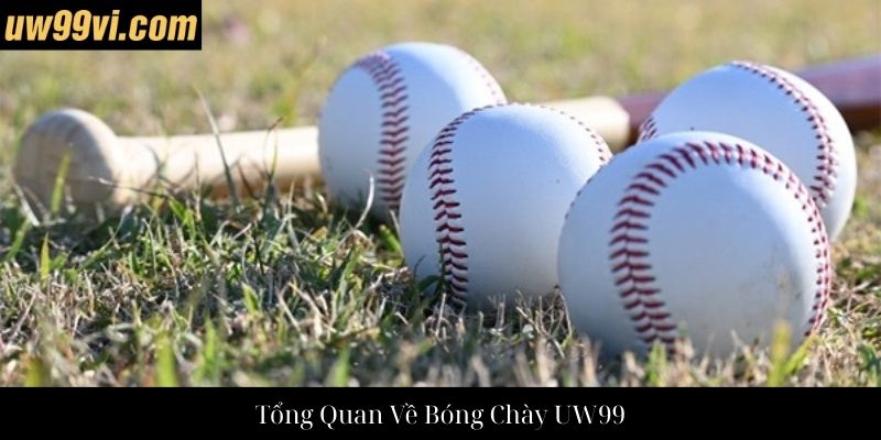 Tổng Quan Về Bóng Chày UW99